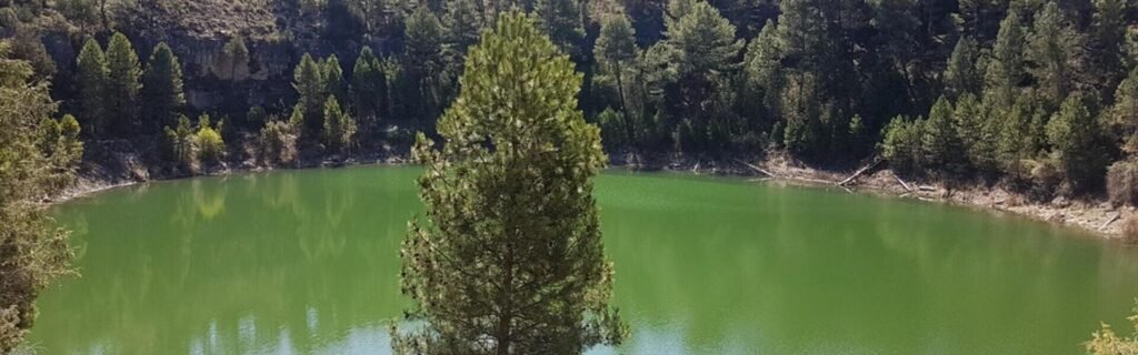 Torcas y lagunas Cañada del Hoyo