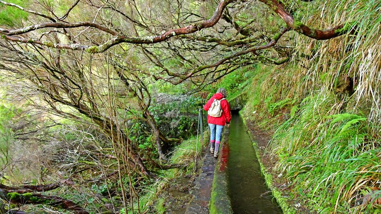 Excursión a Curral dos Romeiros