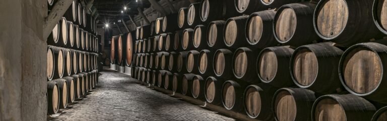Viticultura cata de vinos El Penedés