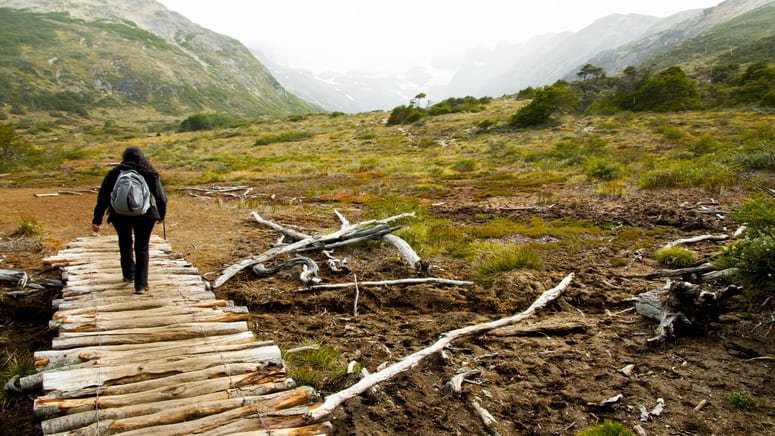 Avistamiento de aves en el Parque Tierra del Fuego