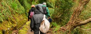 Trekking Valle Paraíso Rochão