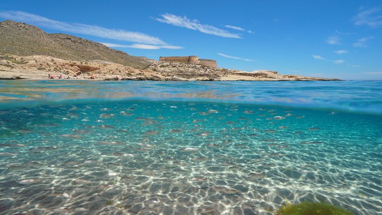 Tour Cabo Gata