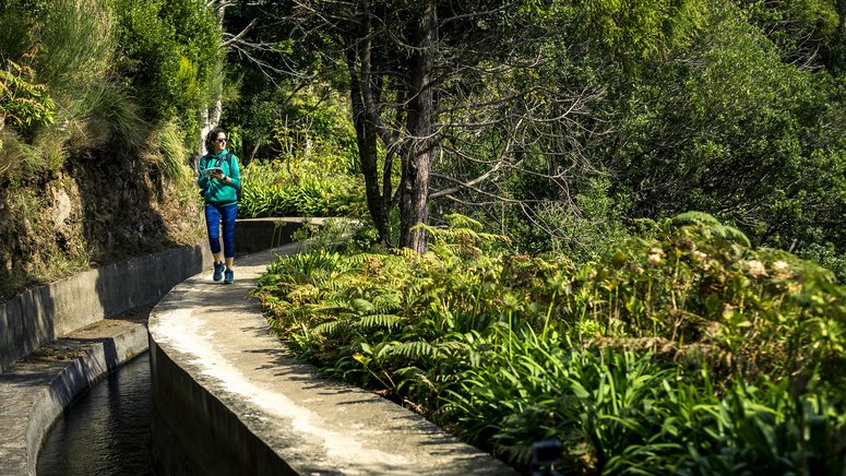 Excursión a Curral dos Romeiros