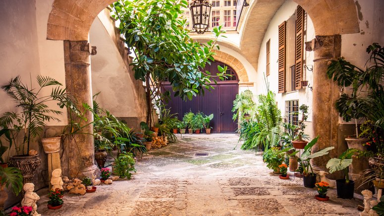 Tour casco histórico Palma