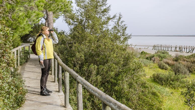 Tour guiado Doñana y El Rocio