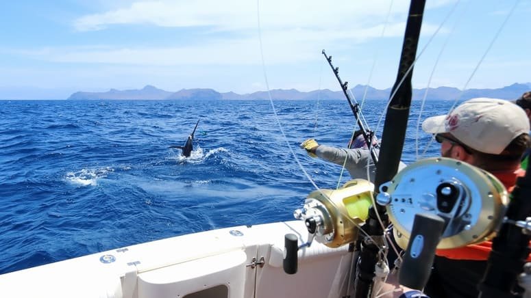 Pesca de altura privada en el Océano Pacífico
