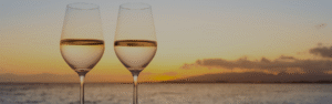 Atardecer Openbar bordo Río Plata