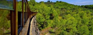 Excursió tren tranvía barco Soller