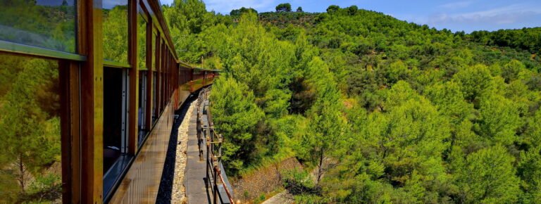 Excursió tren tranvía barco Soller