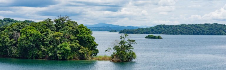 Tour Isla monos