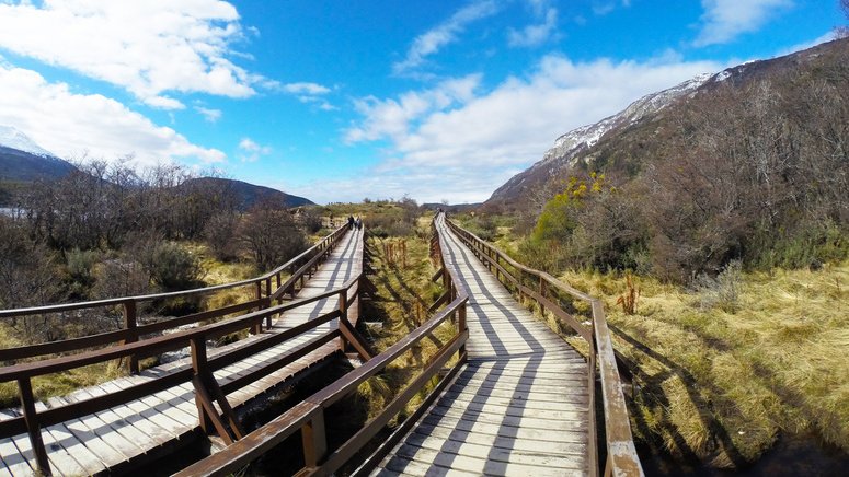 Excursión al Parque Nacional Tierra del Fuego