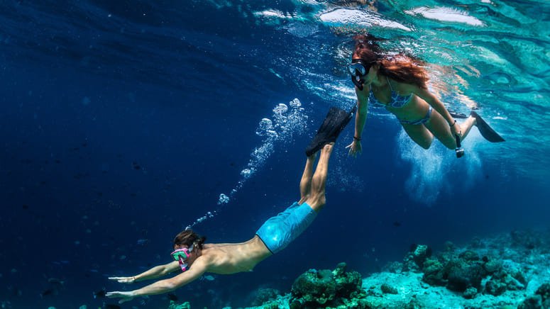 Aventura Costa Brava y snorkel Cap Creus
