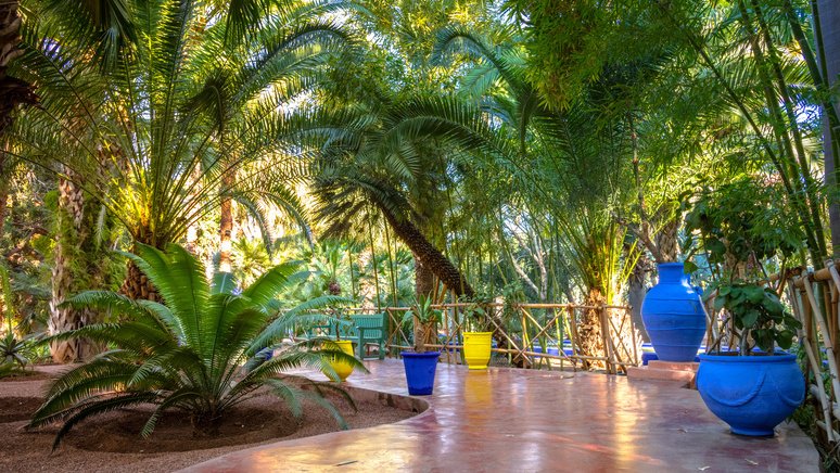 Visita a a los jardines de Marrakech