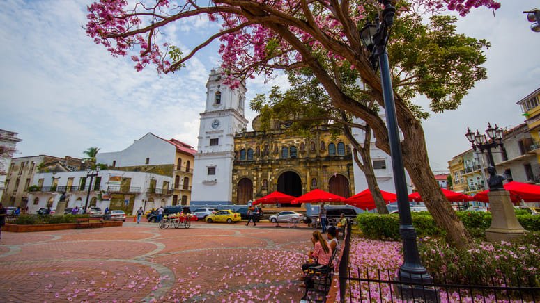 Tour privado por la ciudad de Panamá