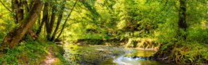 ¡Descubre el paraíso del río Pance!