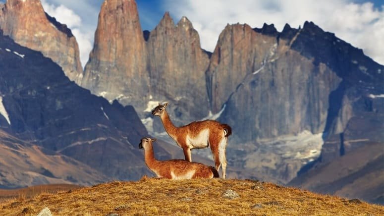 Excursión Parque Nacional Torres Paine