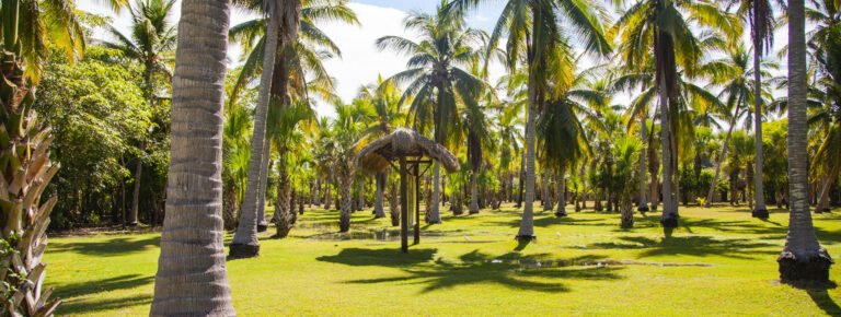 Excursión por la vida salvaje de Puerto de Ángel