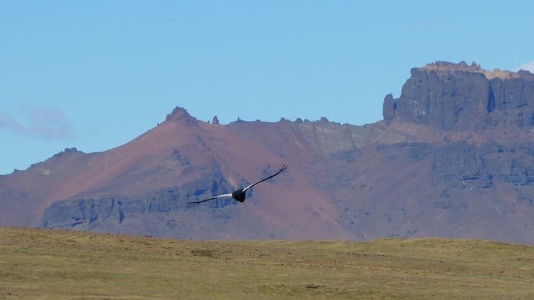 Safari 4x4 Patagonia argentina