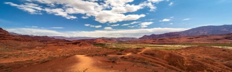 Disfruta de los Valles de Cafayate Calchaqui y cata de vinos