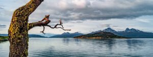 Excursión al Parque Nacional Tierra del Fuego