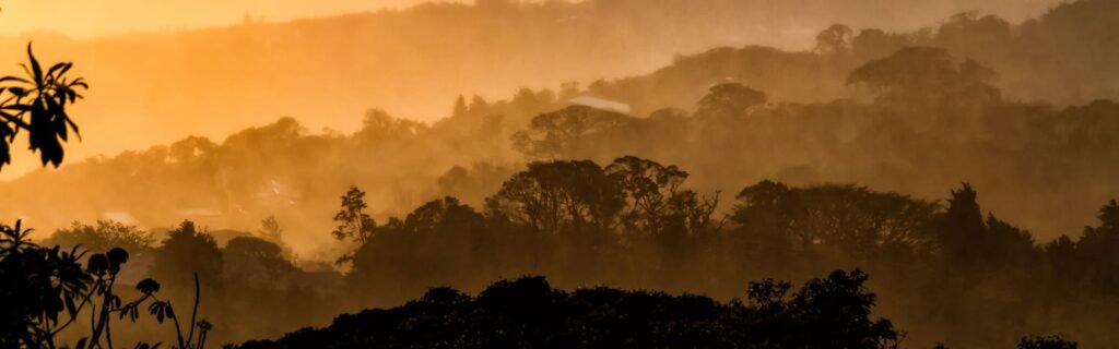 Tour nocturno Monteverde