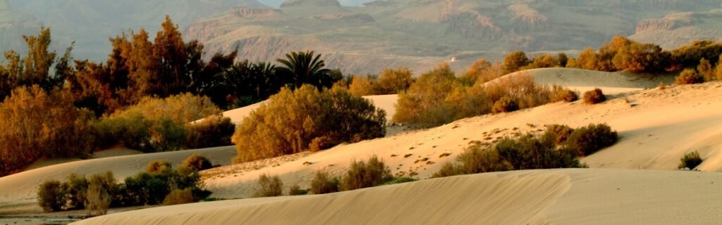 segway meloneras ruta camello maspalomas