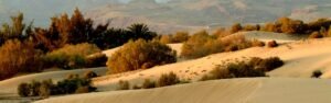 segway meloneras ruta camello maspalomas