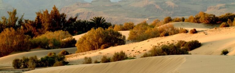 segway meloneras ruta camello maspalomas