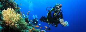 Bucea en Abades y descubre el fondo marino