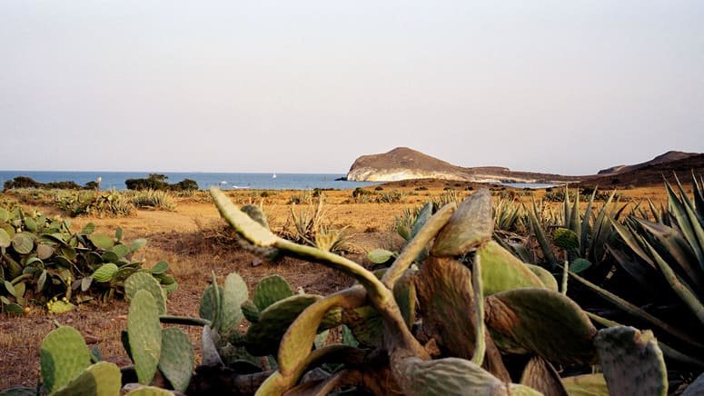 Excursión al Cabo de Gata