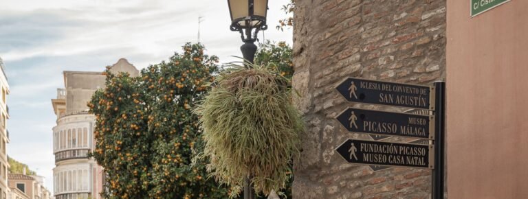 Visita guiada Museo Casa Natal Picasso